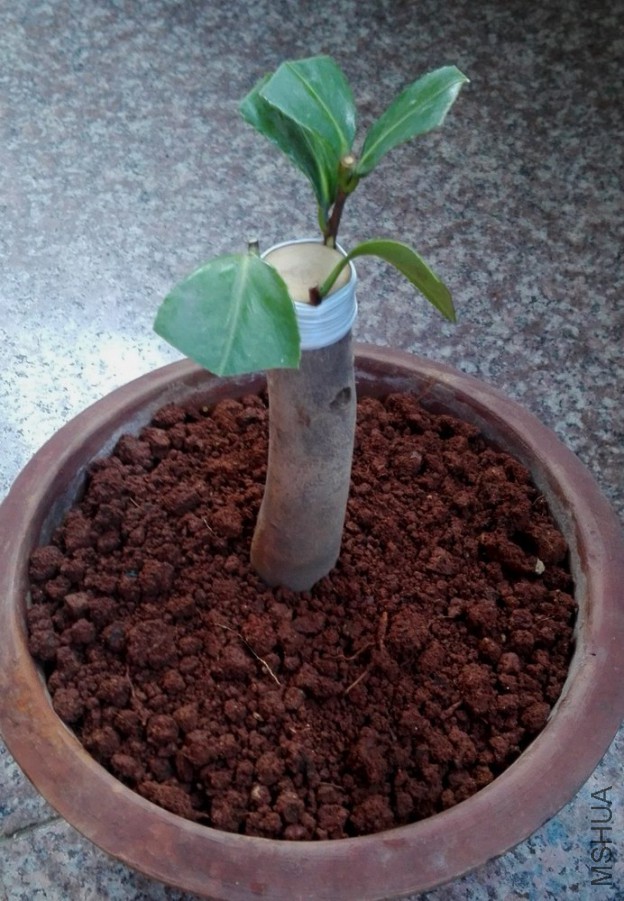 16��޽� (14).jpg