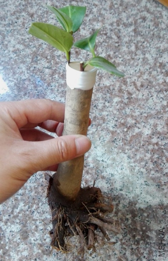 16��޽� (13).jpg
