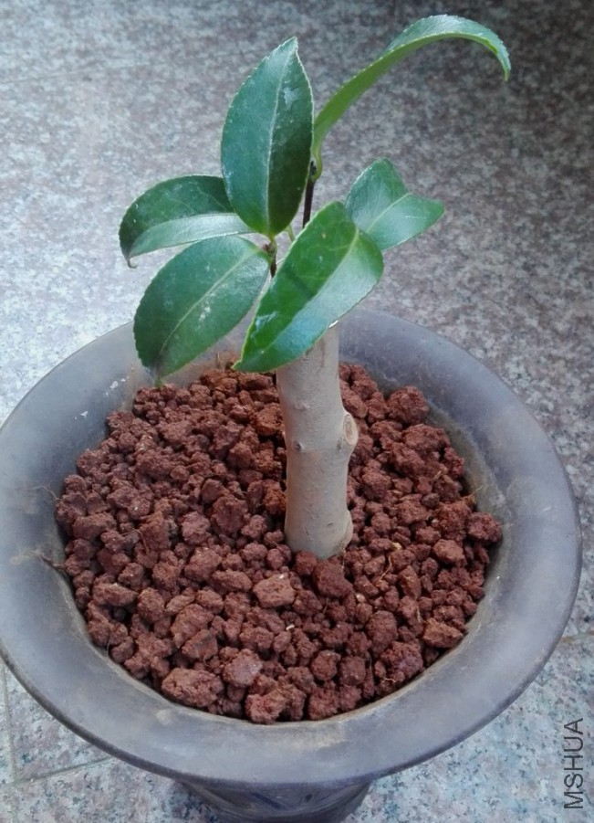 16��޽� (18).jpg