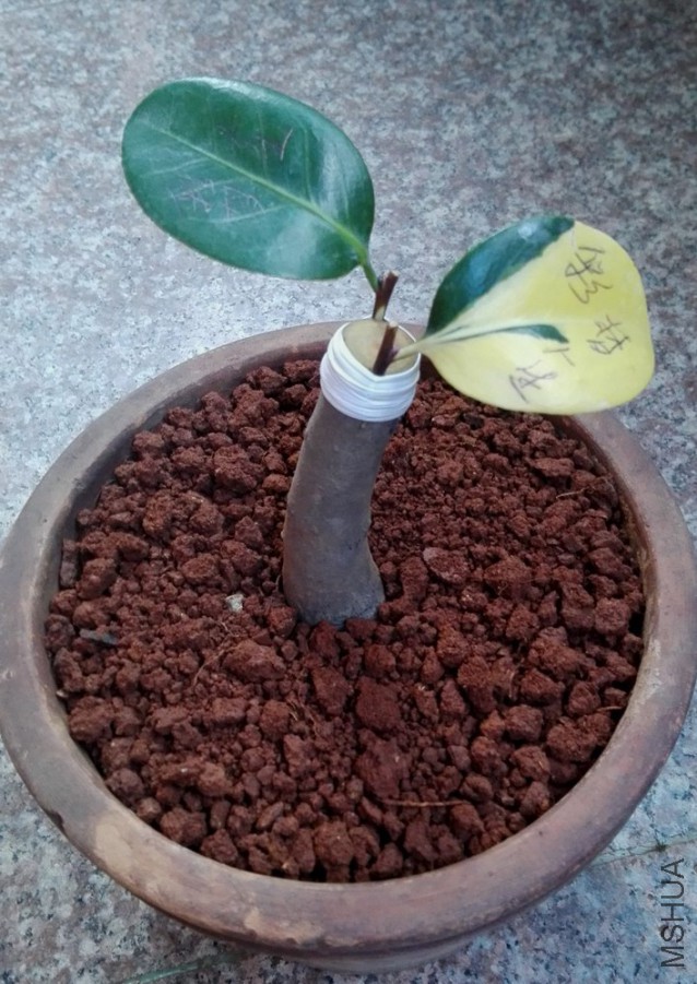 16��޽� (29).jpg