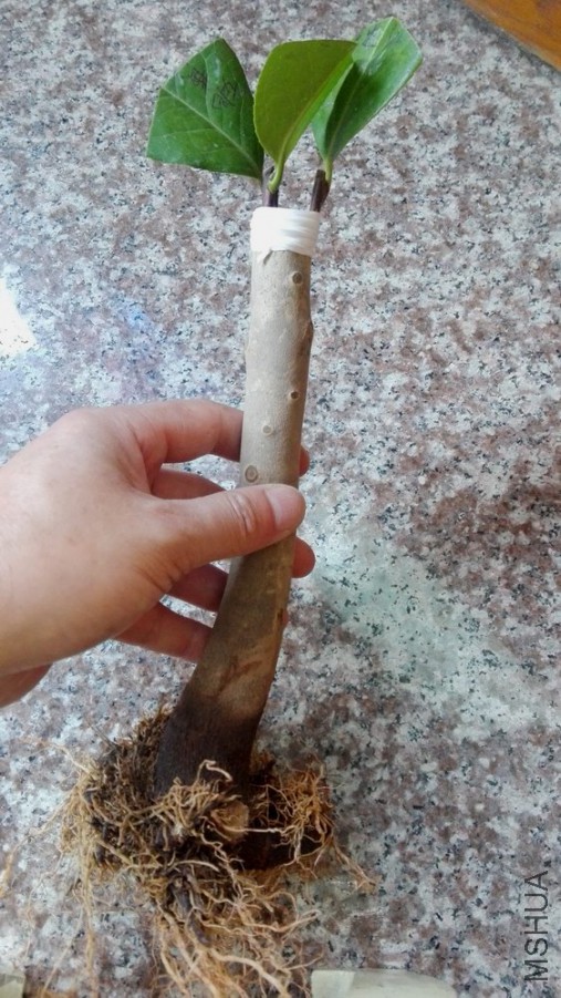 16��޽� (46).jpg