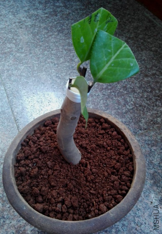 16��޽� (47).jpg