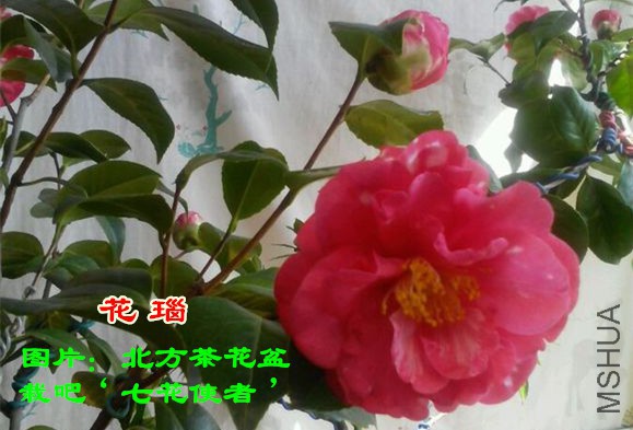 9bdff70a19d8bc3e0be34c75858ba61ea9d34501_����.jpg