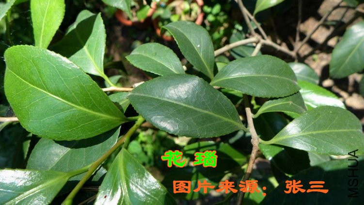 230401uzzr92e686cb3a63_����.jpg