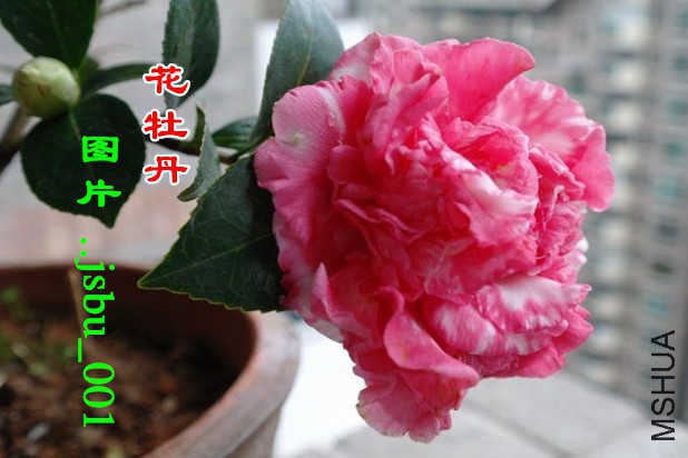 141222yfmea346te0tnb50.jpg