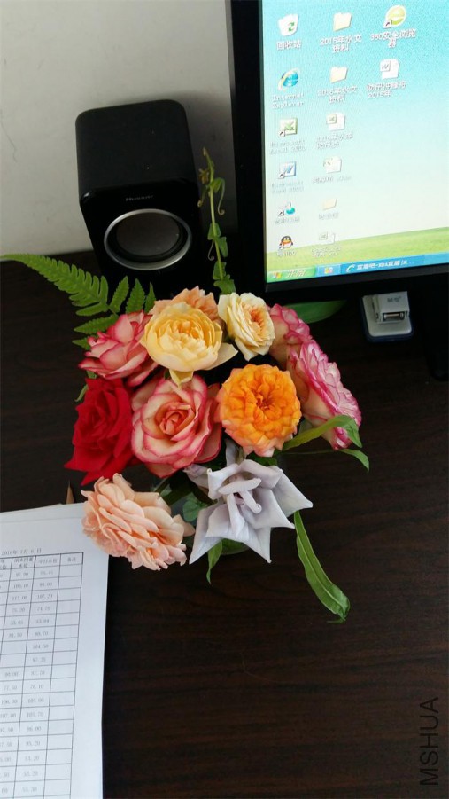 20160707_093734.jpg