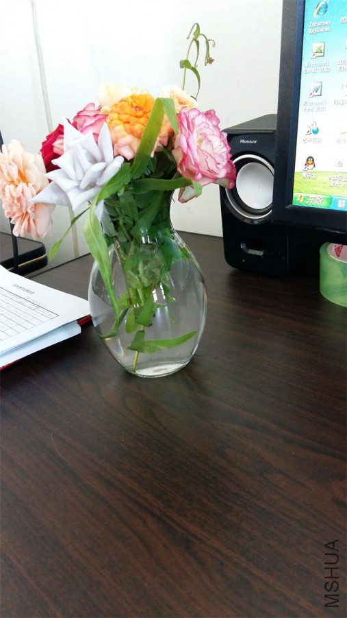 20160707_093713.jpg