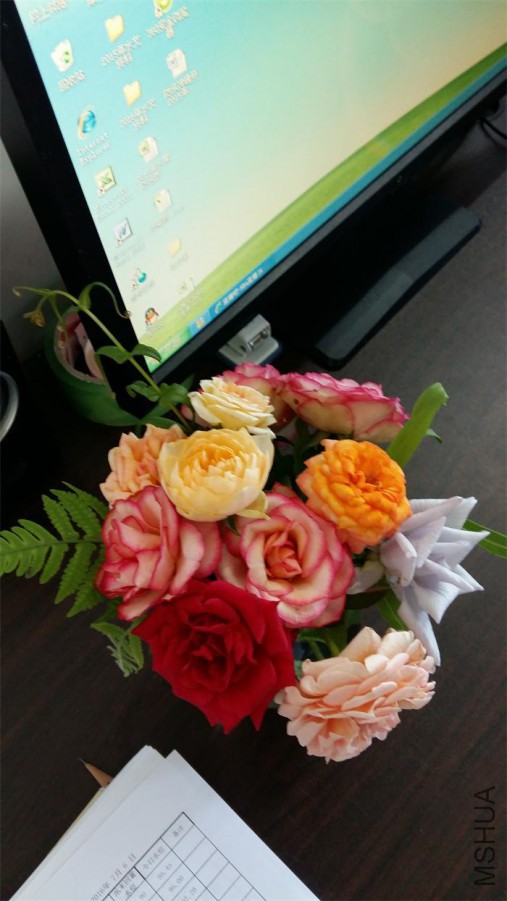 20160707_093650.jpg
