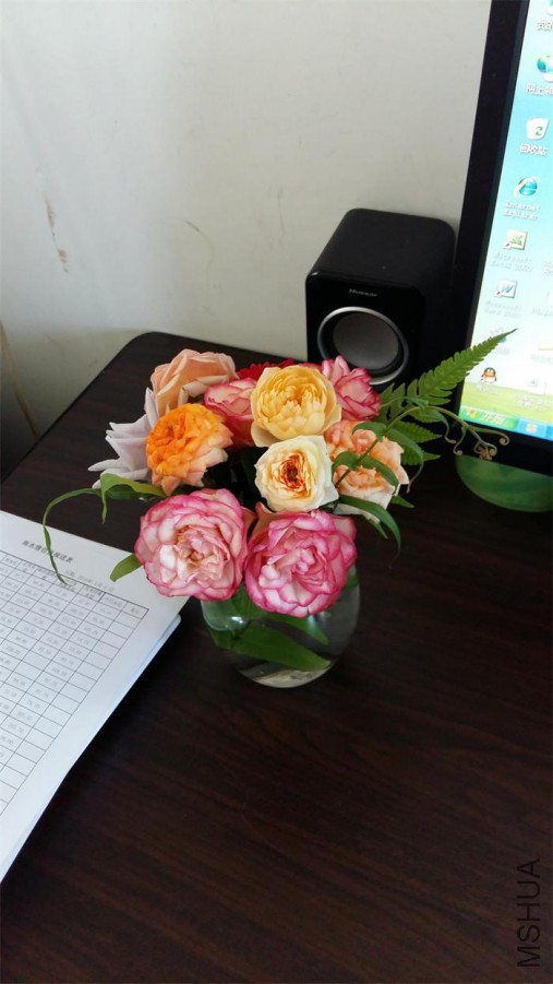20160707_093549.jpg