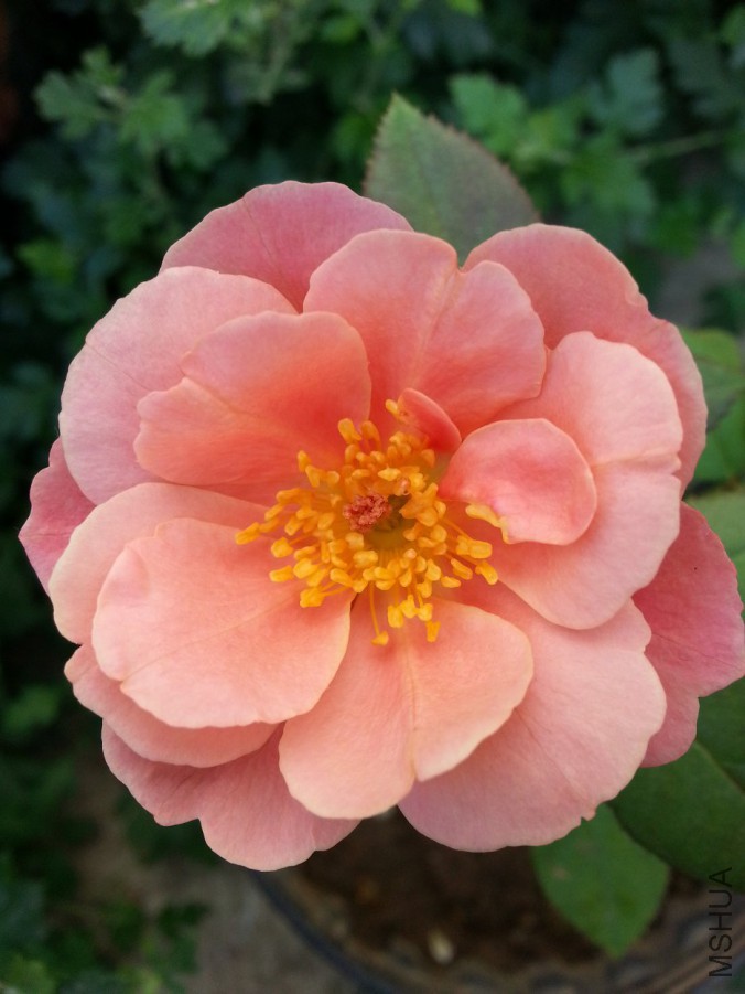 20160708_080717.jpg