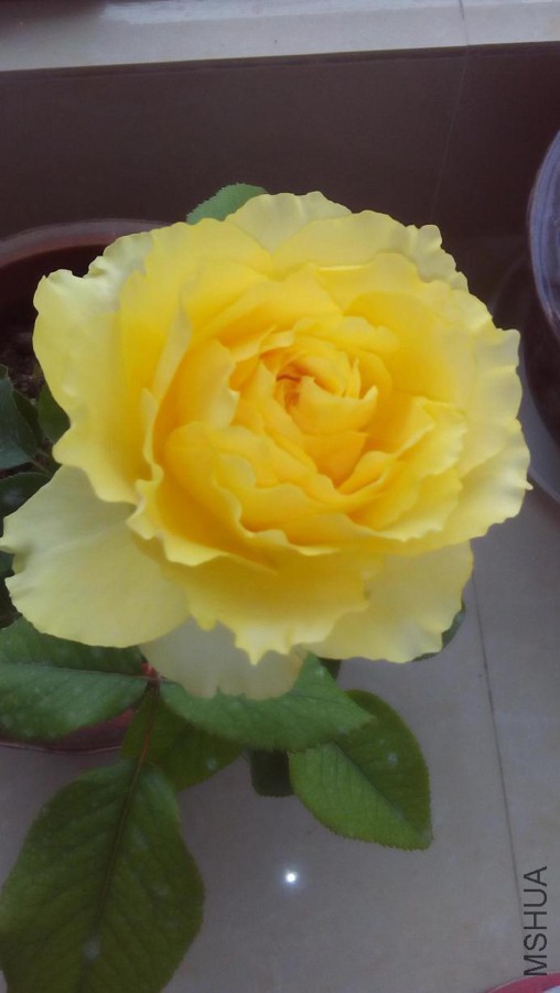 20160625.jpg