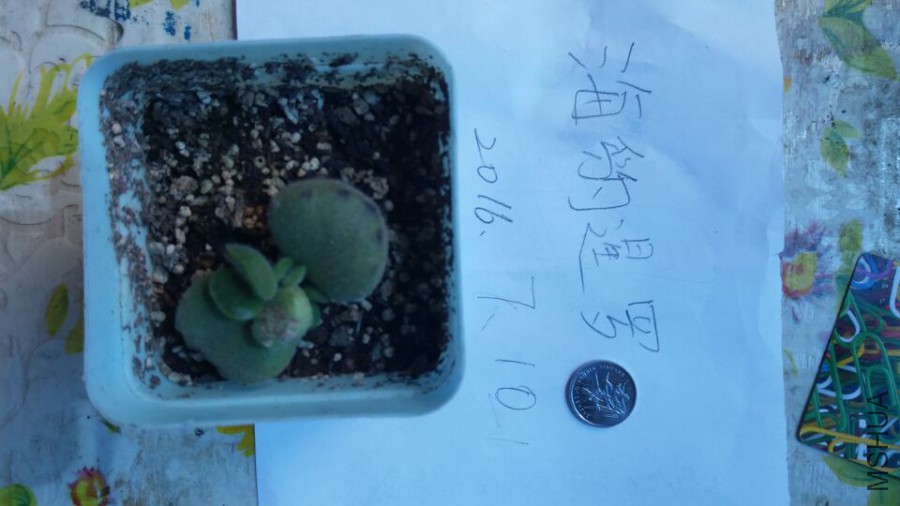 QQͼƬ20160710123603.jpg