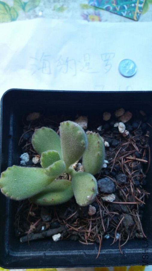 QQͼƬ20160710123356.jpg