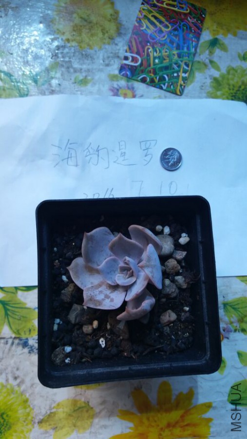 QQͼƬ20160710123413.jpg