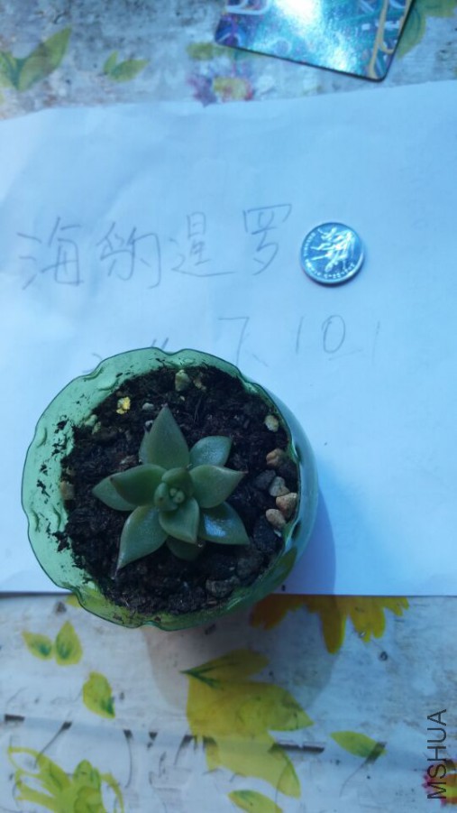 QQͼƬ20160710123543.jpg