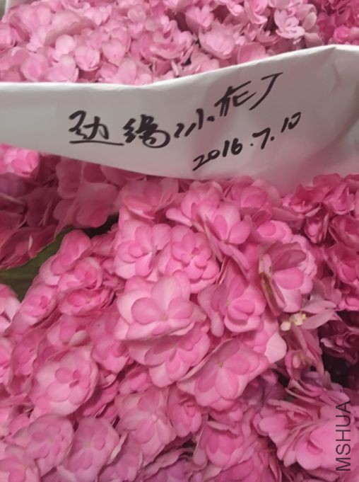 ̫�����Ŵ�ͼ