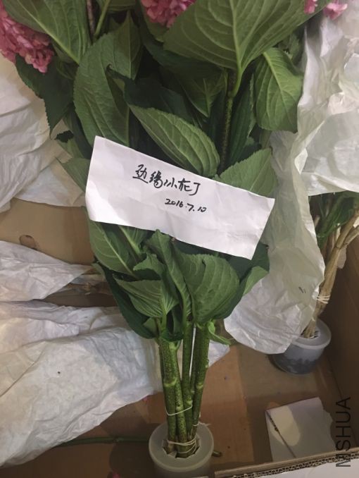 ����̫����ѿ��Ҷ�ӳ��ȶ��У�