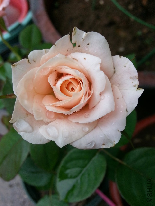 20160710_134144.jpg