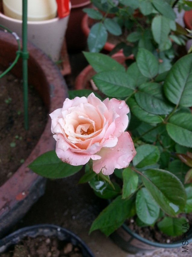 20160710_134122.jpg
