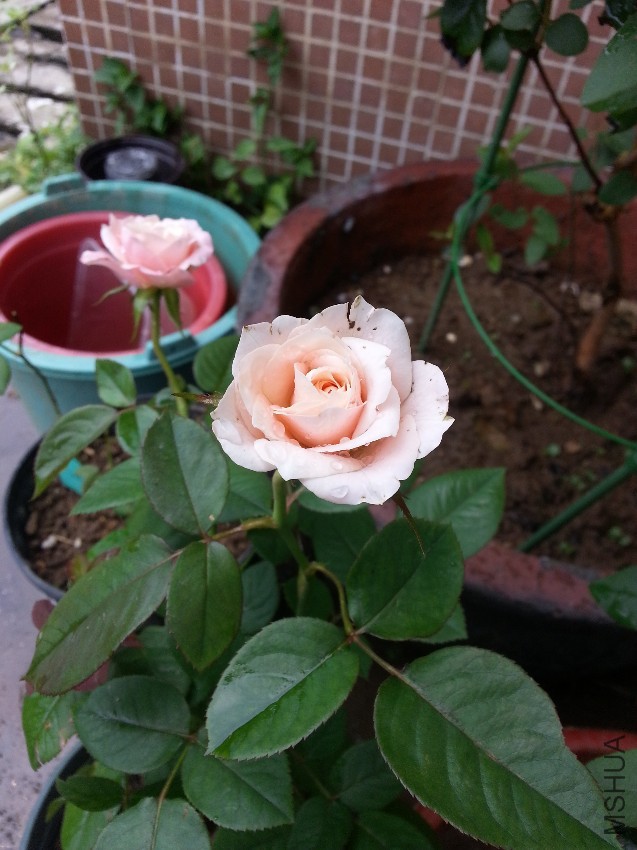 20160710_134300.jpg