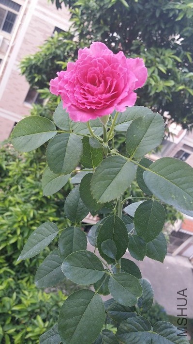 20160707_070445.jpg