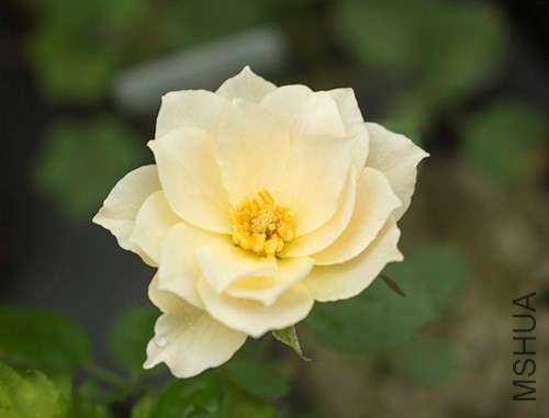 IMG_1020jpg0711.jpg