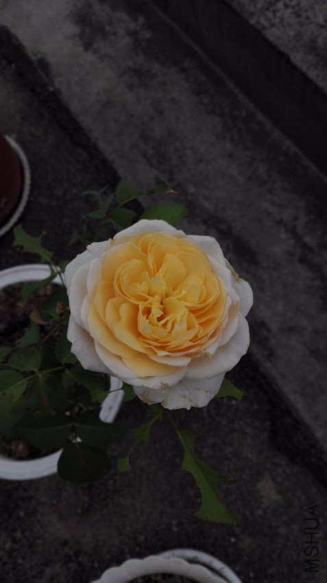 6129DF6CFDF019E85A733F58DB7C7EC4.jpg