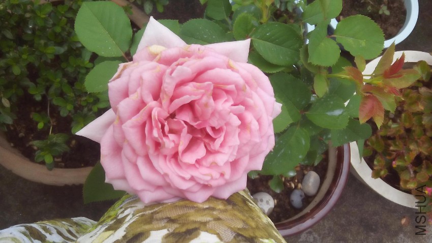 ���˽��� ��Ҫл��