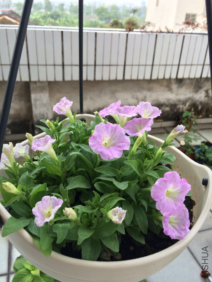 ������ǳ�Ϸ�