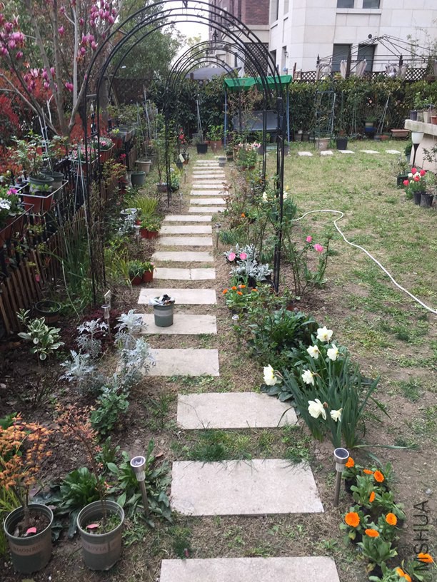 2016-03-20 171921.jpg