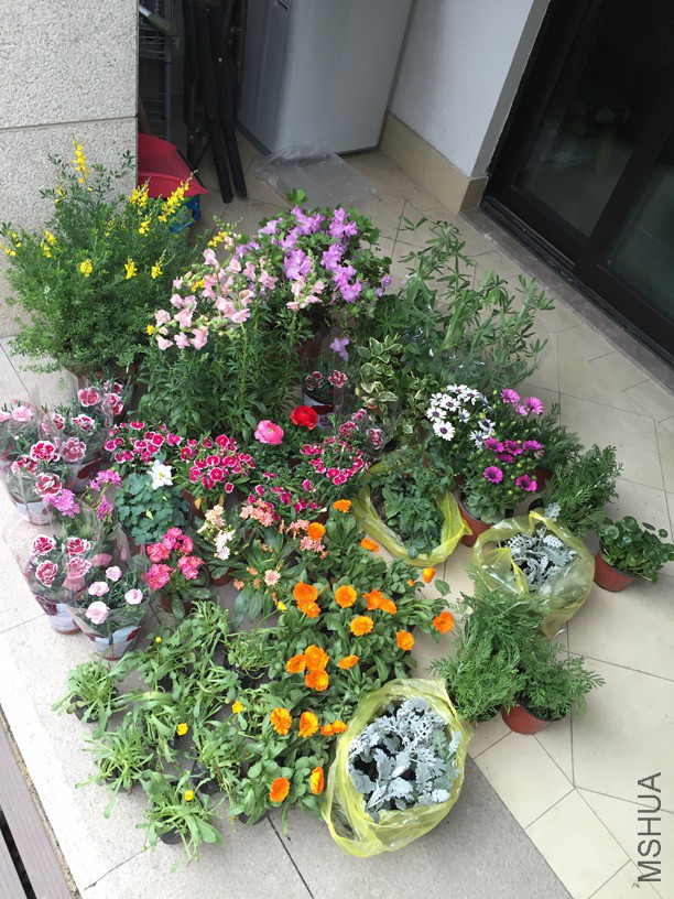 2016-03-20 170100.jpg