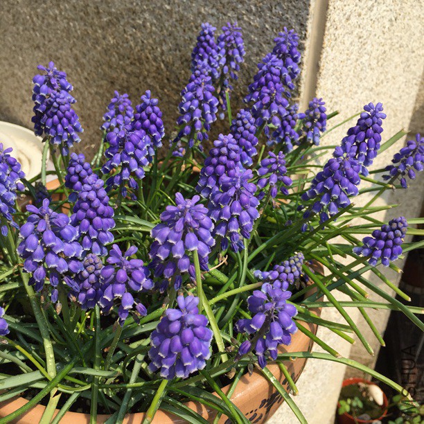 2016-03-27 125915.jpg