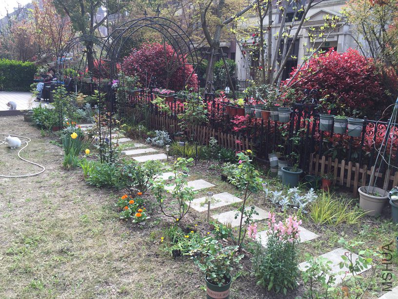 2016-04-02 080303.jpg