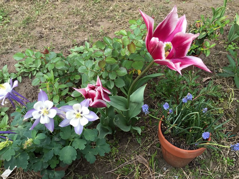 2016-04-08 164307.jpg