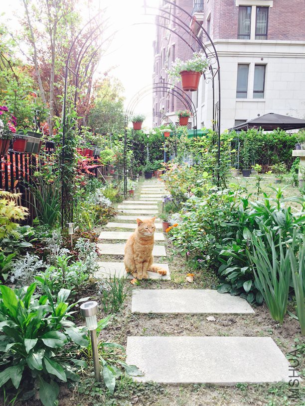 2016-04-08 163931.jpg