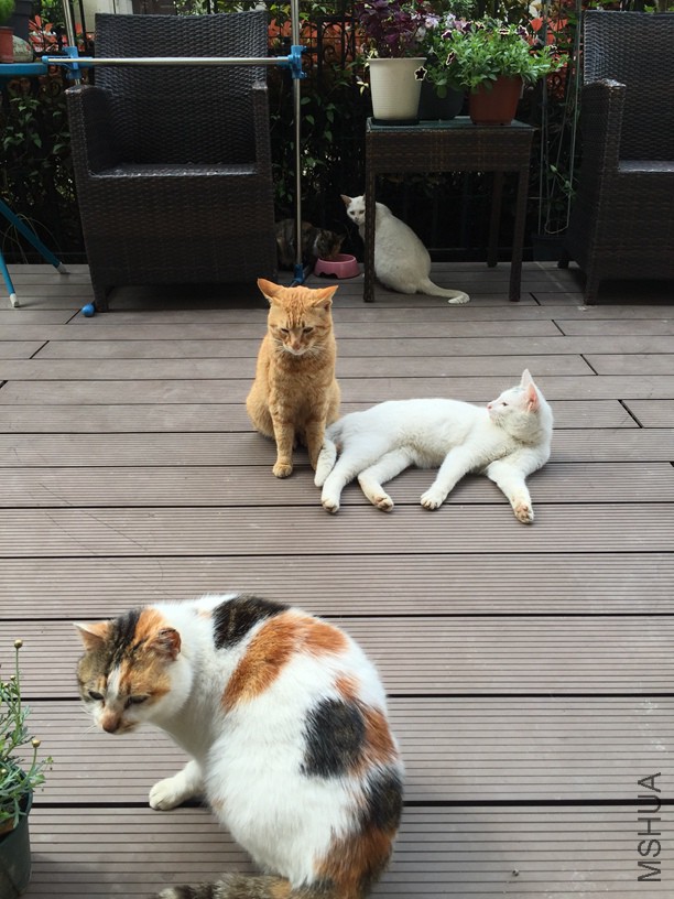 2016-04-09 093528.jpg