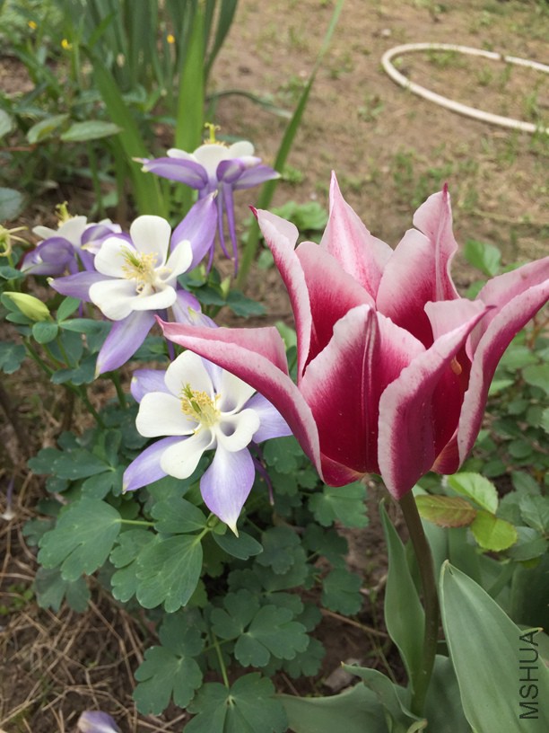 2016-04-09 094514.jpg