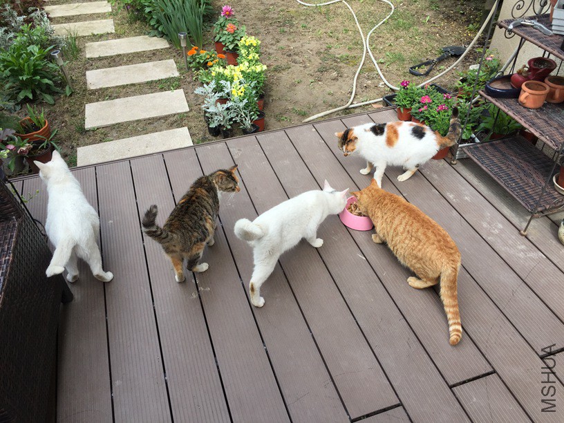 2016-04-09 093740.jpg