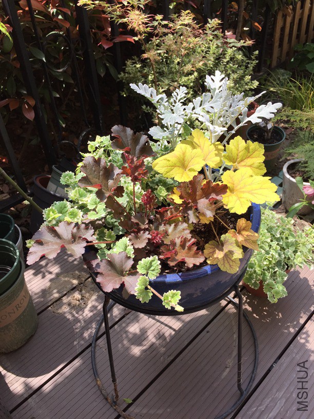 2016-04-09 112953.jpg