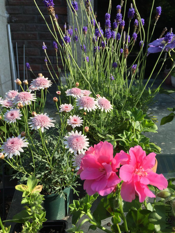 2016-04-30 073233.jpg