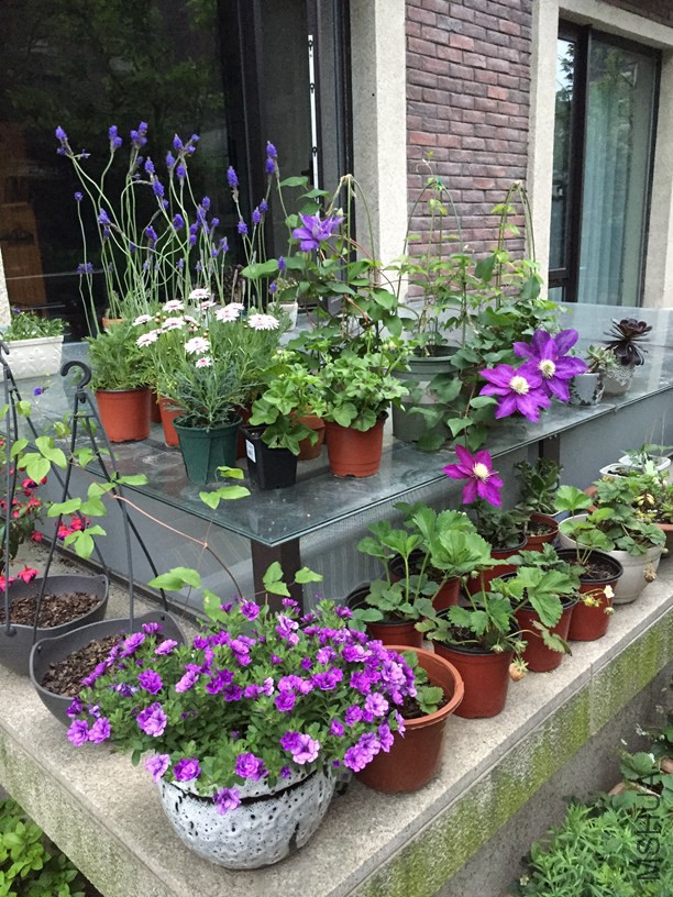 2016-04-22 181150.jpg