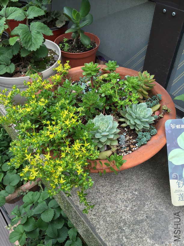 2016-05-02 091349.jpg