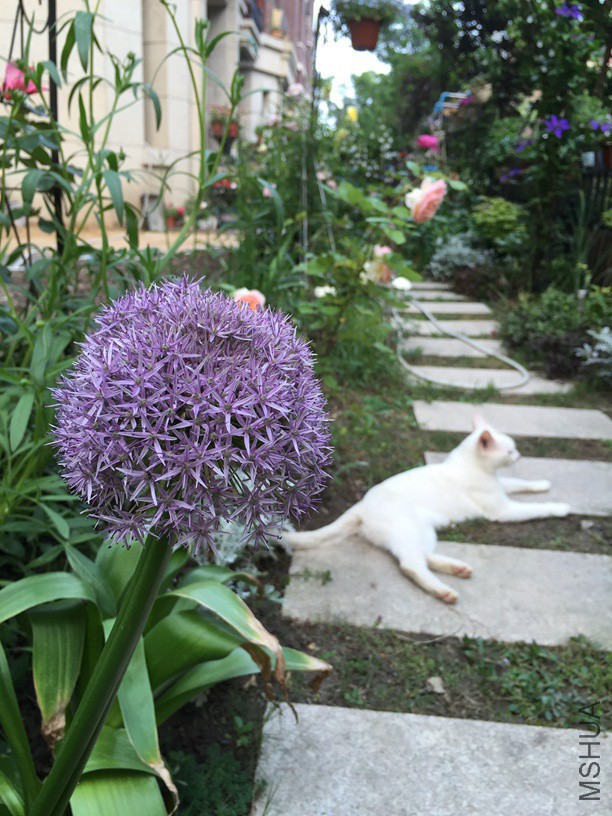 2016-05-06 172423.jpg