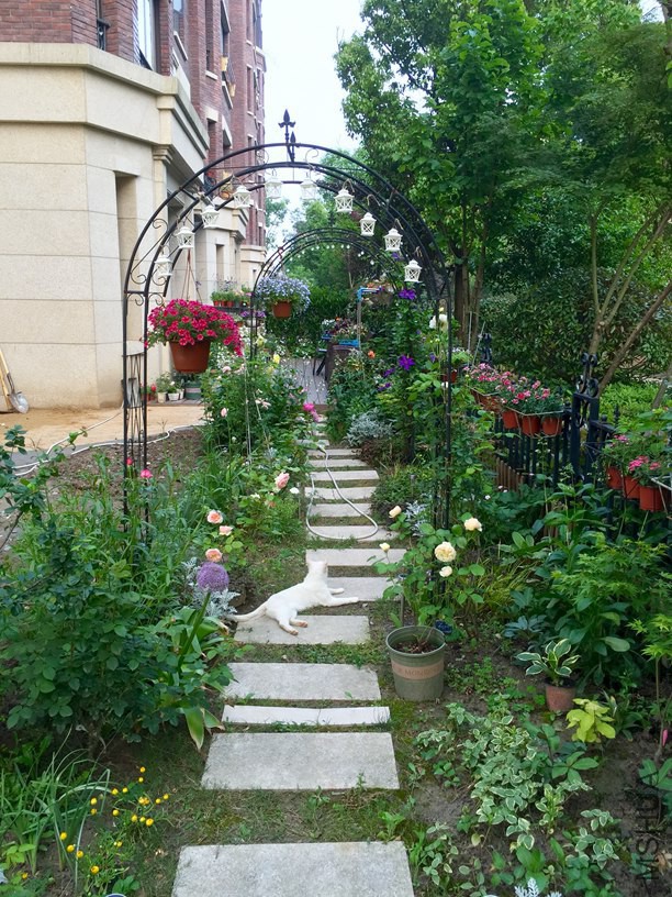 2016-05-06 172518.jpg