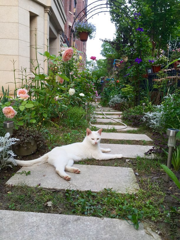 2016-05-06 172442.jpg