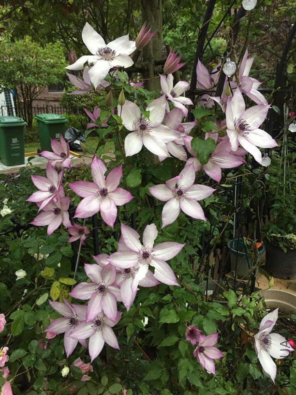 2016-05-09 175400.jpg