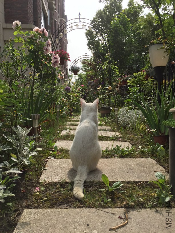 2016-05-07 082504.jpg