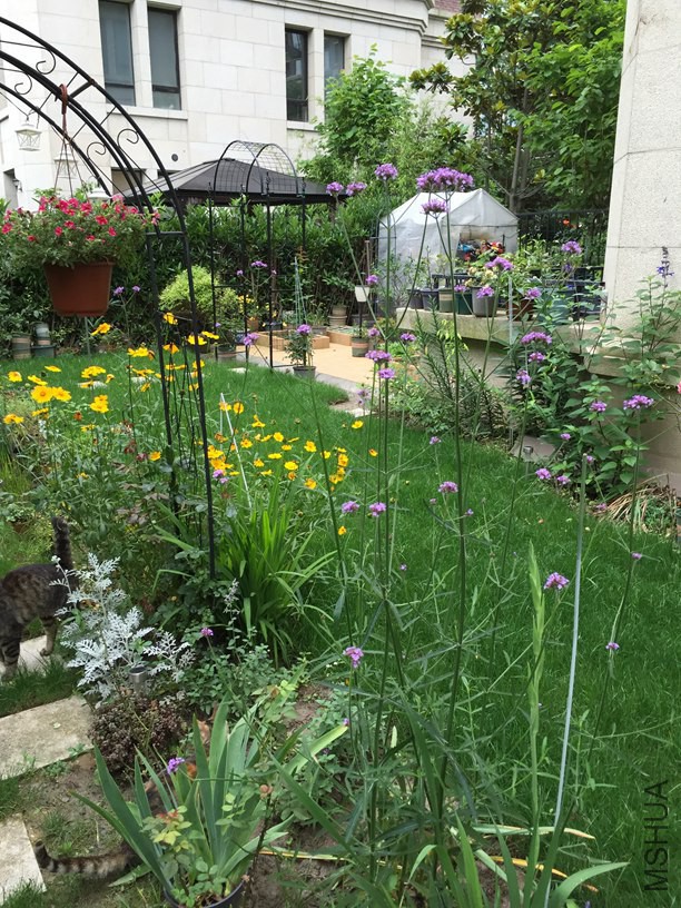 2016-06-01 173659.jpg