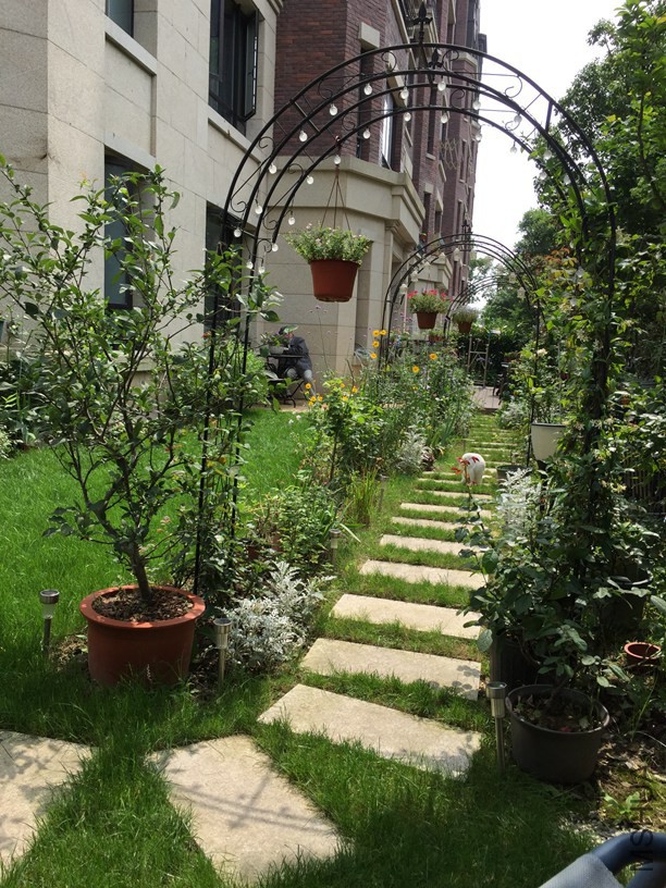 2016-06-11 100948.jpg