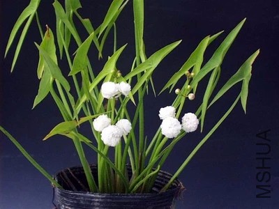 ���ҵ�ͼƬ